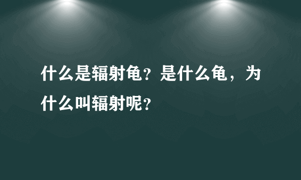 什么是辐射龟？是什么龟，为什么叫辐射呢？