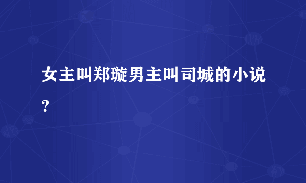 女主叫郑璇男主叫司城的小说？