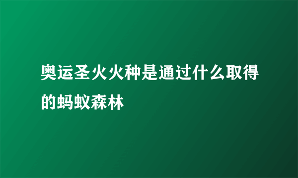 奥运圣火火种是通过什么取得的蚂蚁森林