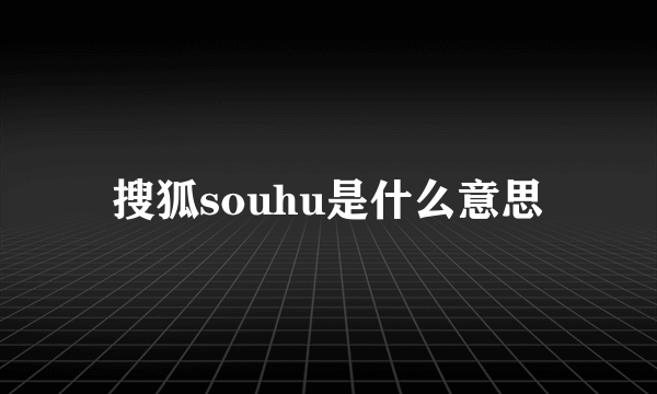 搜狐souhu是什么意思