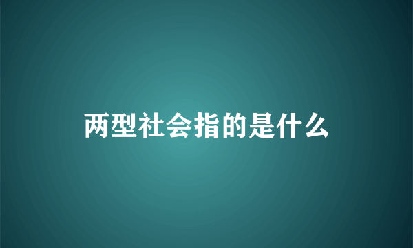 两型社会指的是什么