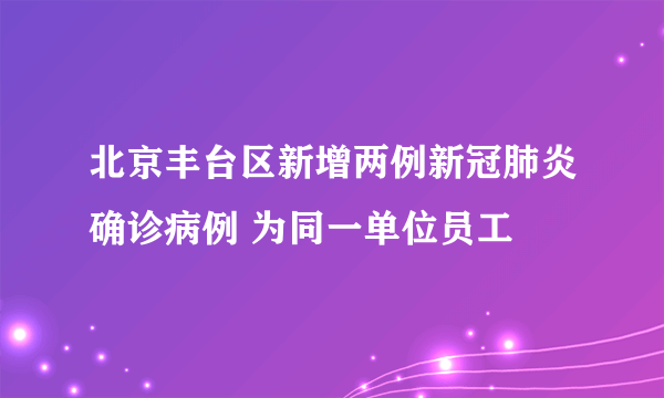 北京丰台区新增两例新冠肺炎确诊病例 为同一单位员工