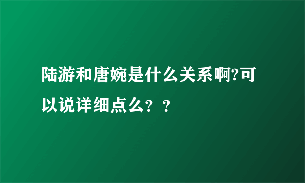 陆游和唐婉是什么关系啊?可以说详细点么？？