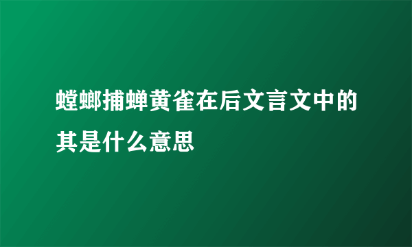 螳螂捕蝉黄雀在后文言文中的其是什么意思