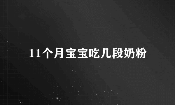 11个月宝宝吃几段奶粉