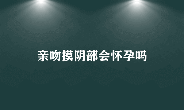 亲吻摸阴部会怀孕吗