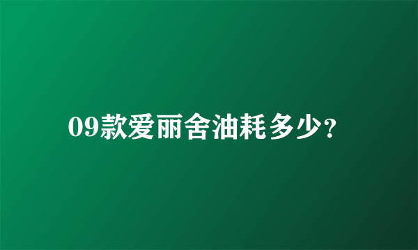 09款爱丽舍油耗多少？