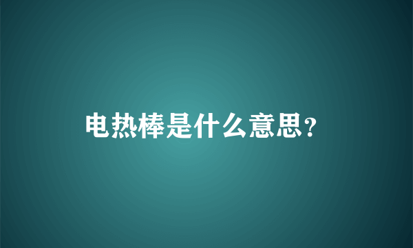 电热棒是什么意思？