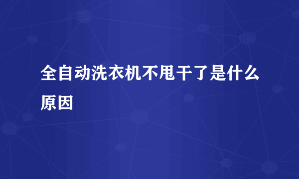 全自动洗衣机不甩干了是什么原因