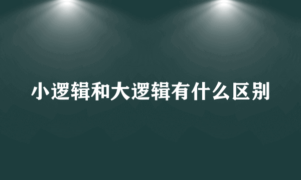 小逻辑和大逻辑有什么区别