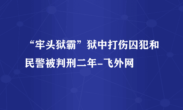 “牢头狱霸”狱中打伤囚犯和民警被判刑二年-飞外网