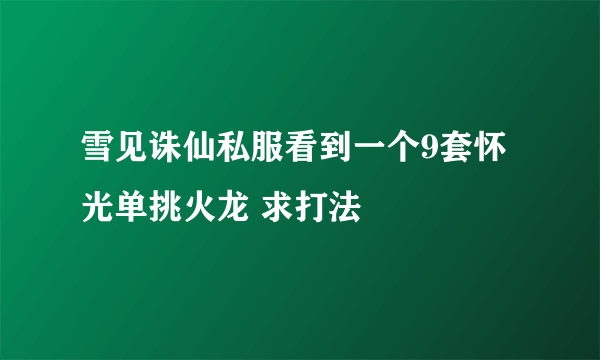 雪见诛仙私服看到一个9套怀光单挑火龙 求打法