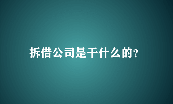 拆借公司是干什么的？