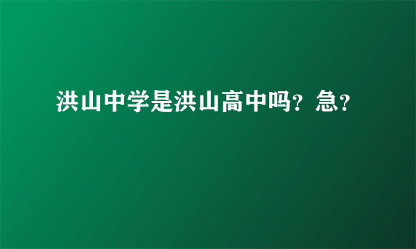 洪山中学是洪山高中吗？急？