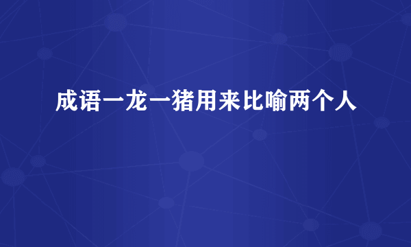 成语一龙一猪用来比喻两个人