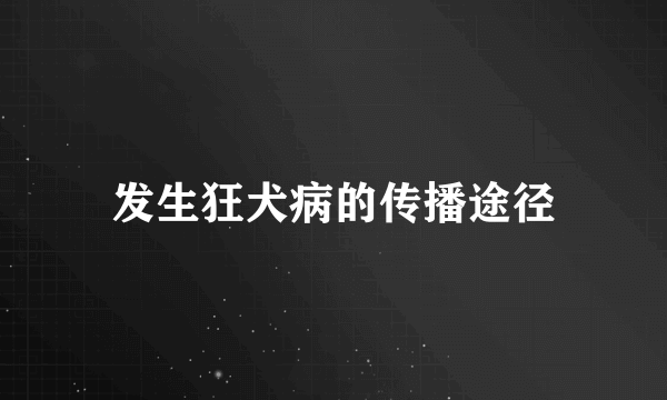 发生狂犬病的传播途径