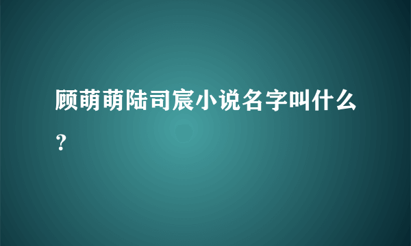 顾萌萌陆司宸小说名字叫什么？