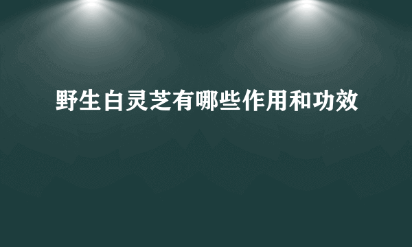 野生白灵芝有哪些作用和功效