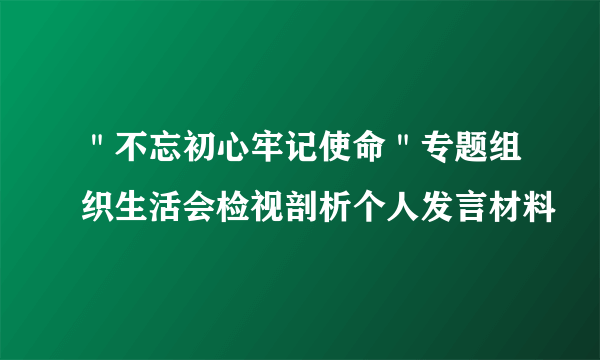 ＂不忘初心牢记使命＂专题组织生活会检视剖析个人发言材料