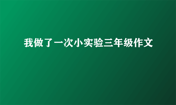 我做了一次小实验三年级作文