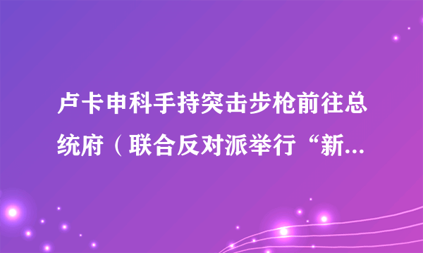 卢卡申科手持突击步枪前往总统府（联合反对派举行“新白俄罗斯行军”大游行）