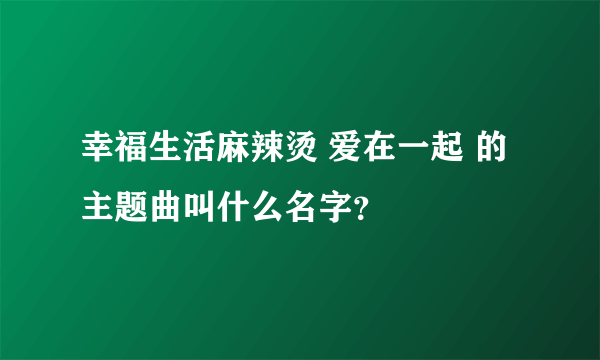 幸福生活麻辣烫 爱在一起 的主题曲叫什么名字？