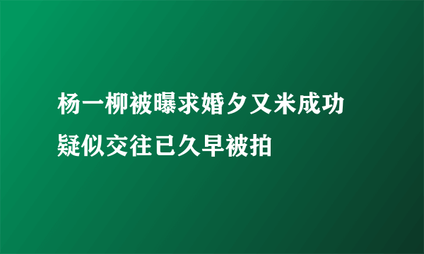 杨一柳被曝求婚夕又米成功 疑似交往已久早被拍