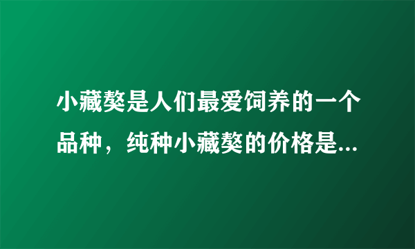 小藏獒是人们最爱饲养的一个品种，纯种小藏獒的价格是多少呢？