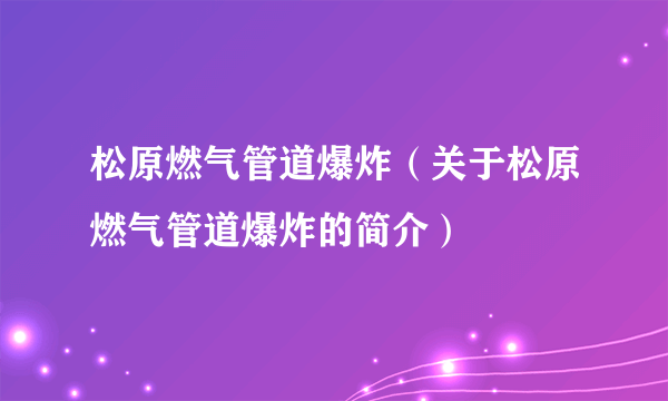 松原燃气管道爆炸（关于松原燃气管道爆炸的简介）