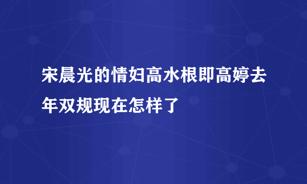 宋晨光的情妇高水根即高婷去年双规现在怎样了