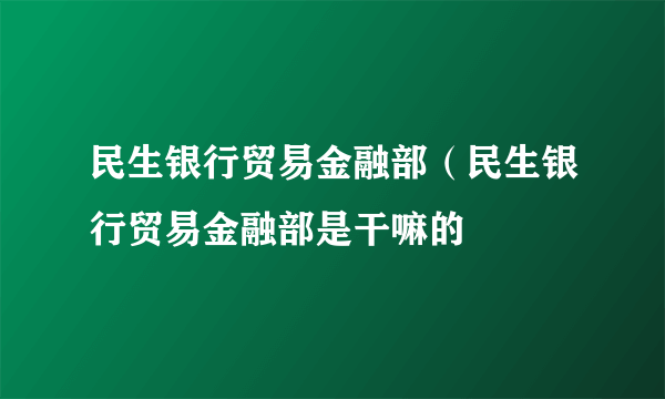 民生银行贸易金融部（民生银行贸易金融部是干嘛的