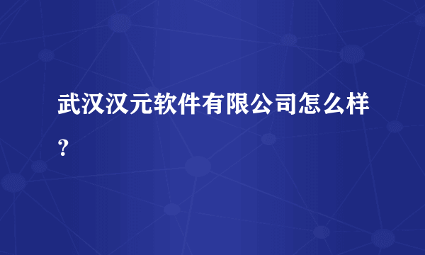 武汉汉元软件有限公司怎么样？