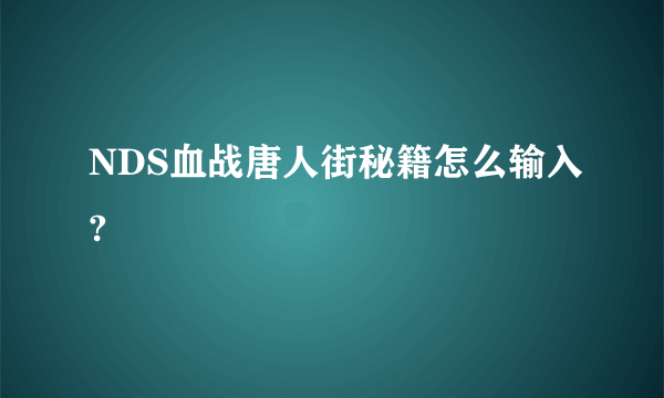 NDS血战唐人街秘籍怎么输入?