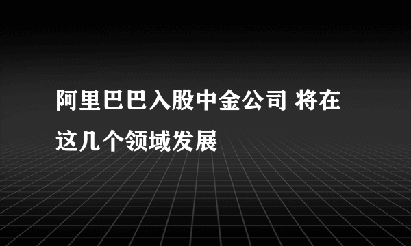 阿里巴巴入股中金公司 将在这几个领域发展