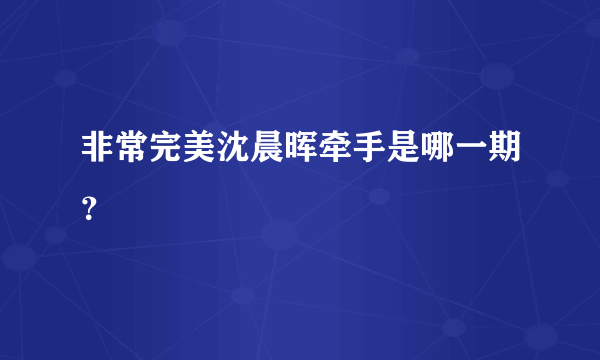 非常完美沈晨晖牵手是哪一期？