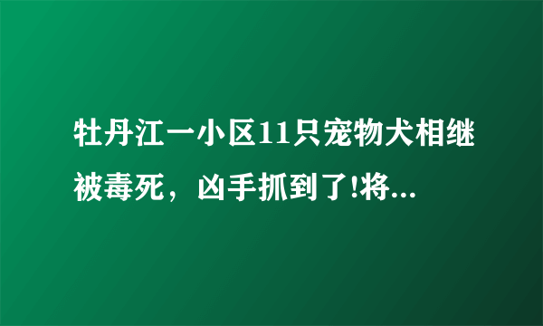 牡丹江一小区11只宠物犬相继被毒死，凶手抓到了!将会受到哪些法律处罚？