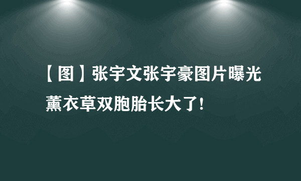 【图】张宇文张宇豪图片曝光 薰衣草双胞胎长大了!