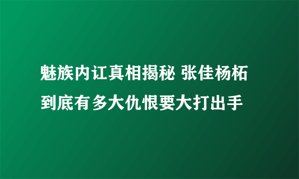 魅族内讧真相揭秘 张佳杨柘到底有多大仇恨要大打出手