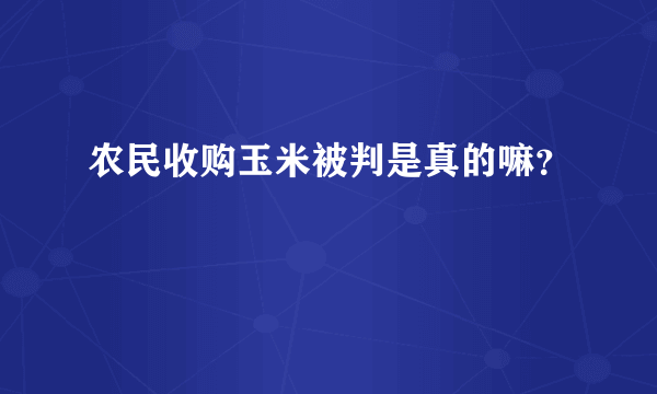 农民收购玉米被判是真的嘛？