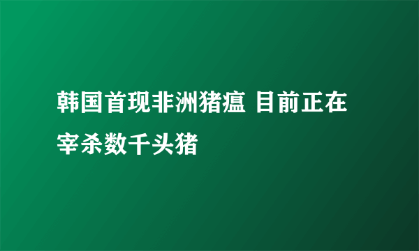 韩国首现非洲猪瘟 目前正在宰杀数千头猪