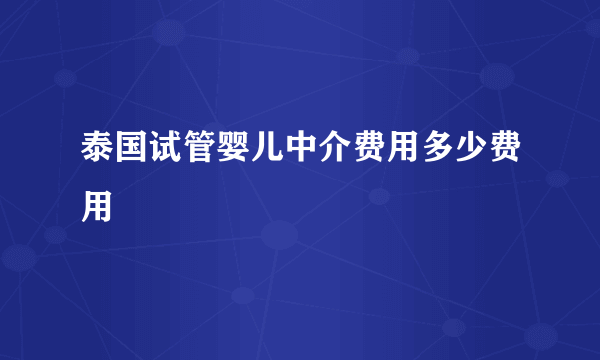 泰国试管婴儿中介费用多少费用