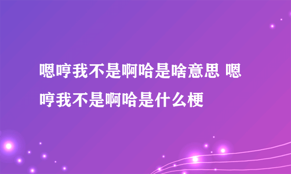 嗯哼我不是啊哈是啥意思 嗯哼我不是啊哈是什么梗