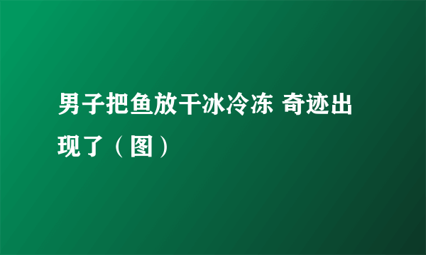 男子把鱼放干冰冷冻 奇迹出现了（图）