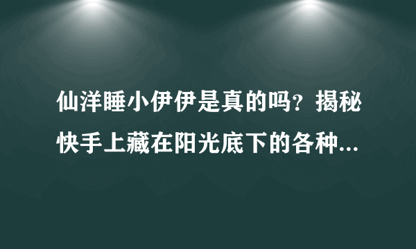 仙洋睡小伊伊是真的吗？揭秘快手上藏在阳光底下的各种是非_飞外网