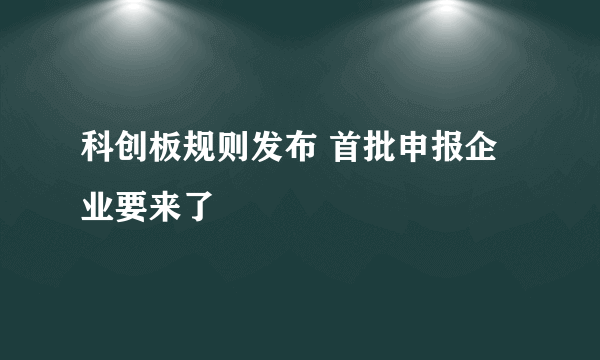 科创板规则发布 首批申报企业要来了