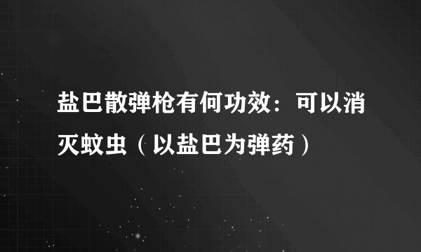 盐巴散弹枪有何功效：可以消灭蚊虫（以盐巴为弹药）