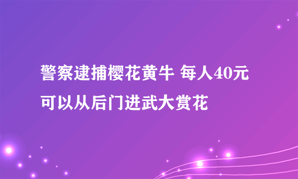 警察逮捕樱花黄牛 每人40元可以从后门进武大赏花