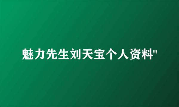 魅力先生刘天宝个人资料