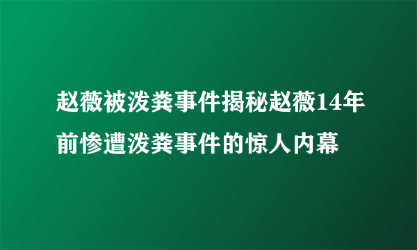 赵薇被泼粪事件揭秘赵薇14年前惨遭泼粪事件的惊人内幕