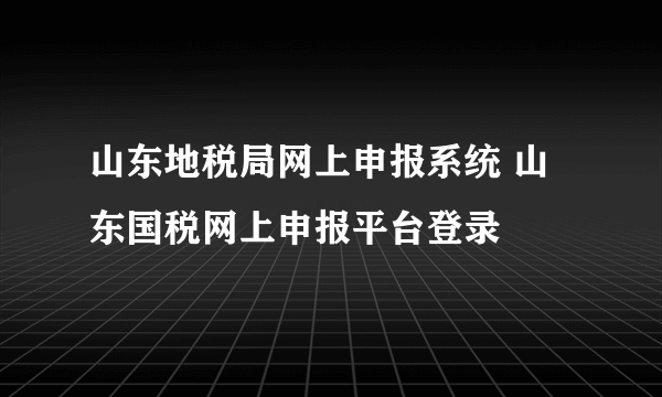 山东地税局网上申报系统 山东国税网上申报平台登录